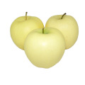 China golden apple fruit fresh